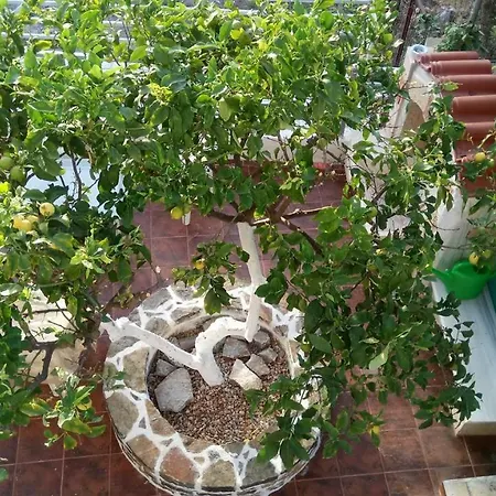Laskas Apartament *